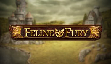 Feline Fury
