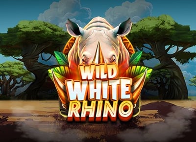 Wild White Rhino