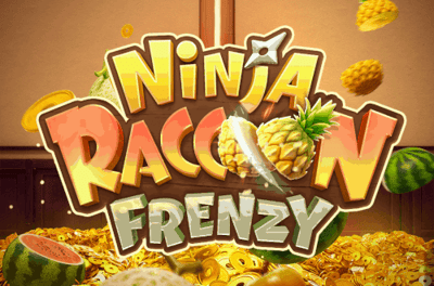 Ninja Raccoon Frenzy