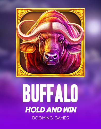 Buffalo Hold and Win