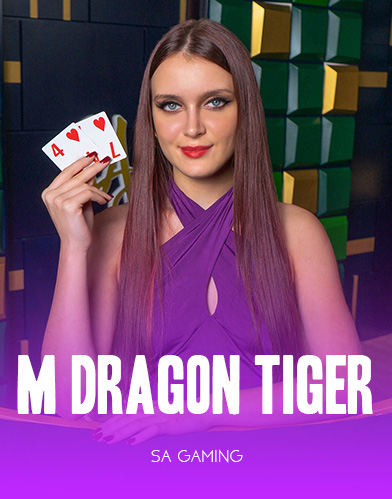 M Dragon Tiger