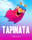 TAPinata