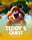 Teddy's Quest